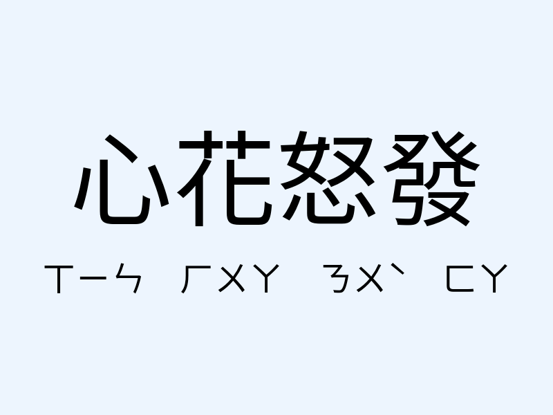 心花怒發注音發音