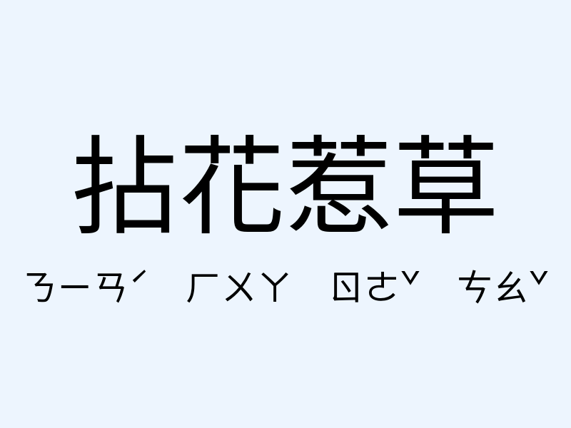 拈花惹草注音發音