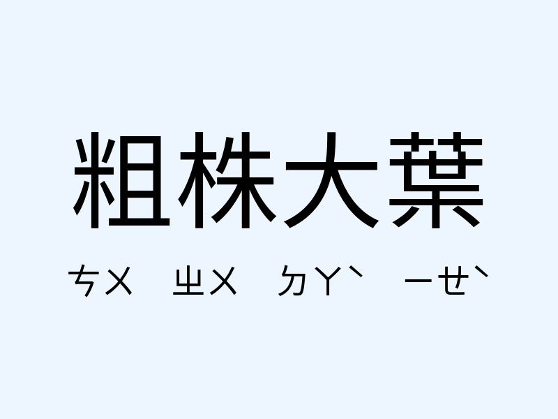 粗株大葉注音發音