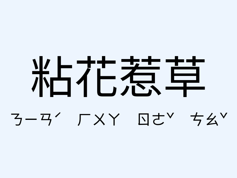 粘花惹草注音發音